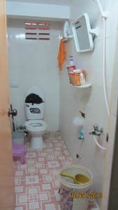 Shower/laundry room/half working toilet